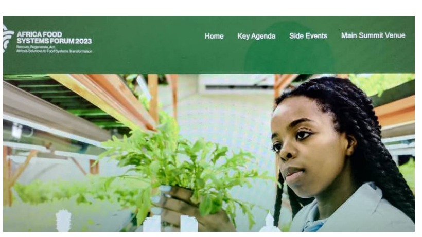 Africa Food System Summit
